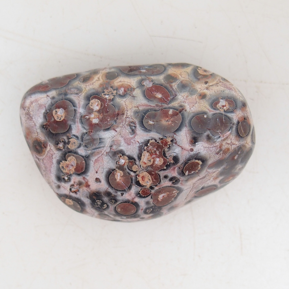 Suiseki - Kő DAI-val (fa alapon)