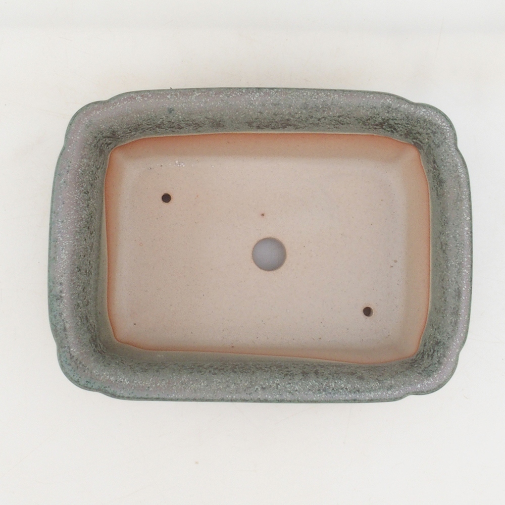 Bonsai tál H50 - 17 x 12,5 x 5,5 cm. - zöld