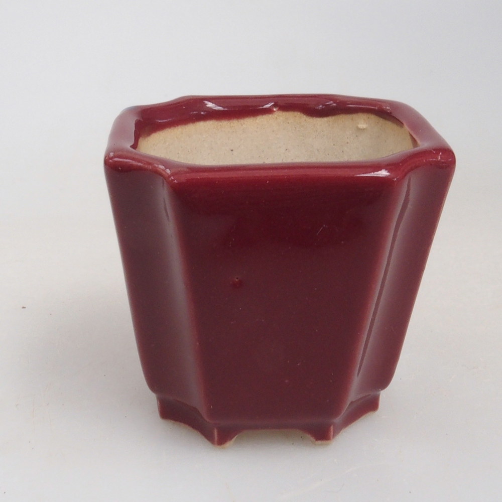 Mini bonsai tál 4 x 4 x 4 cm, bordó színű