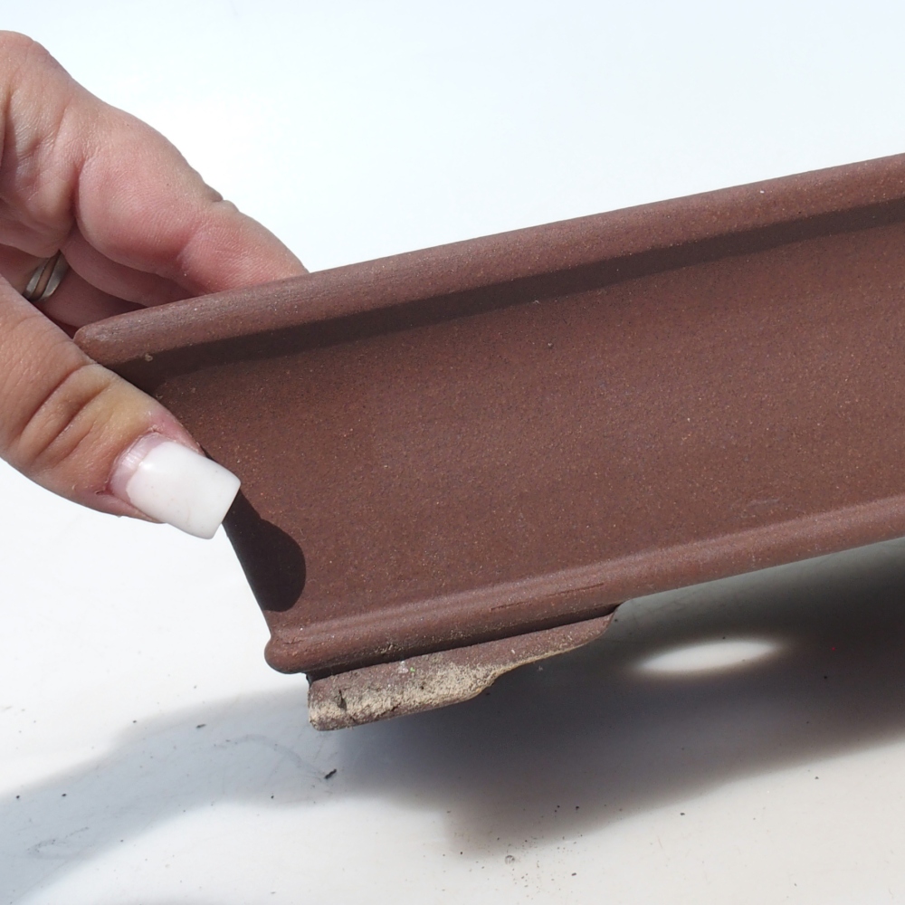 Bonsai tál 30 x 24 x 7 cm nyírfa barna