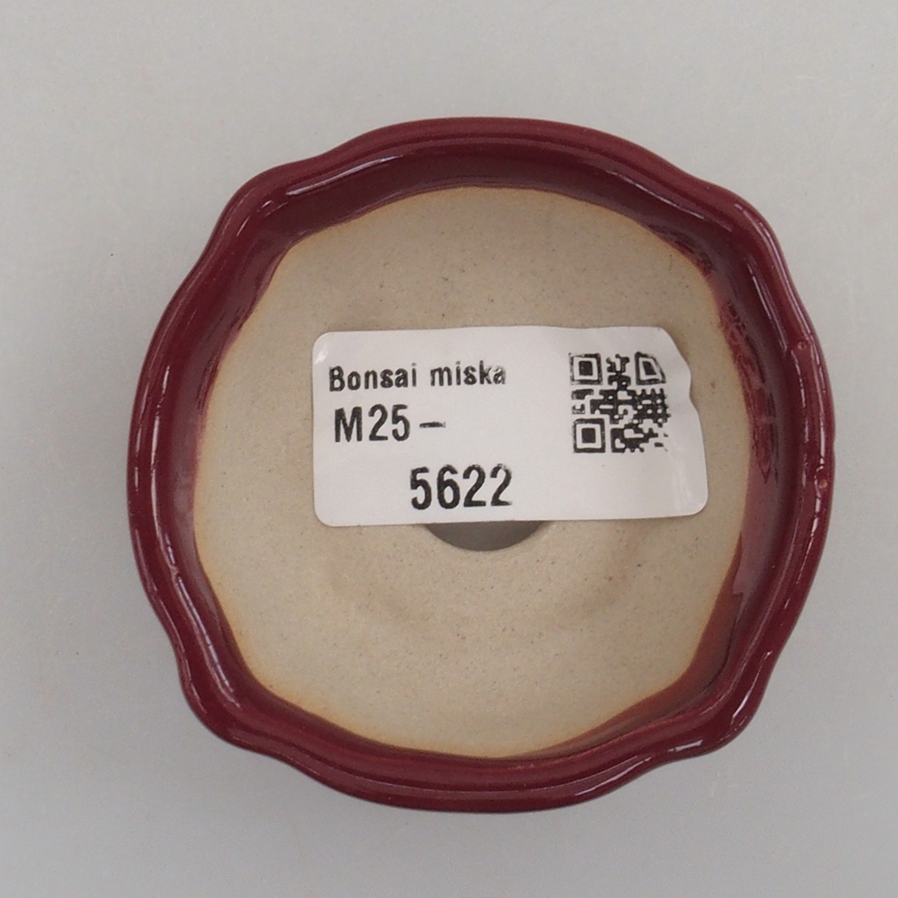 Mini bonsai tál 6 x 6 x 2,5 cm, bordó színű