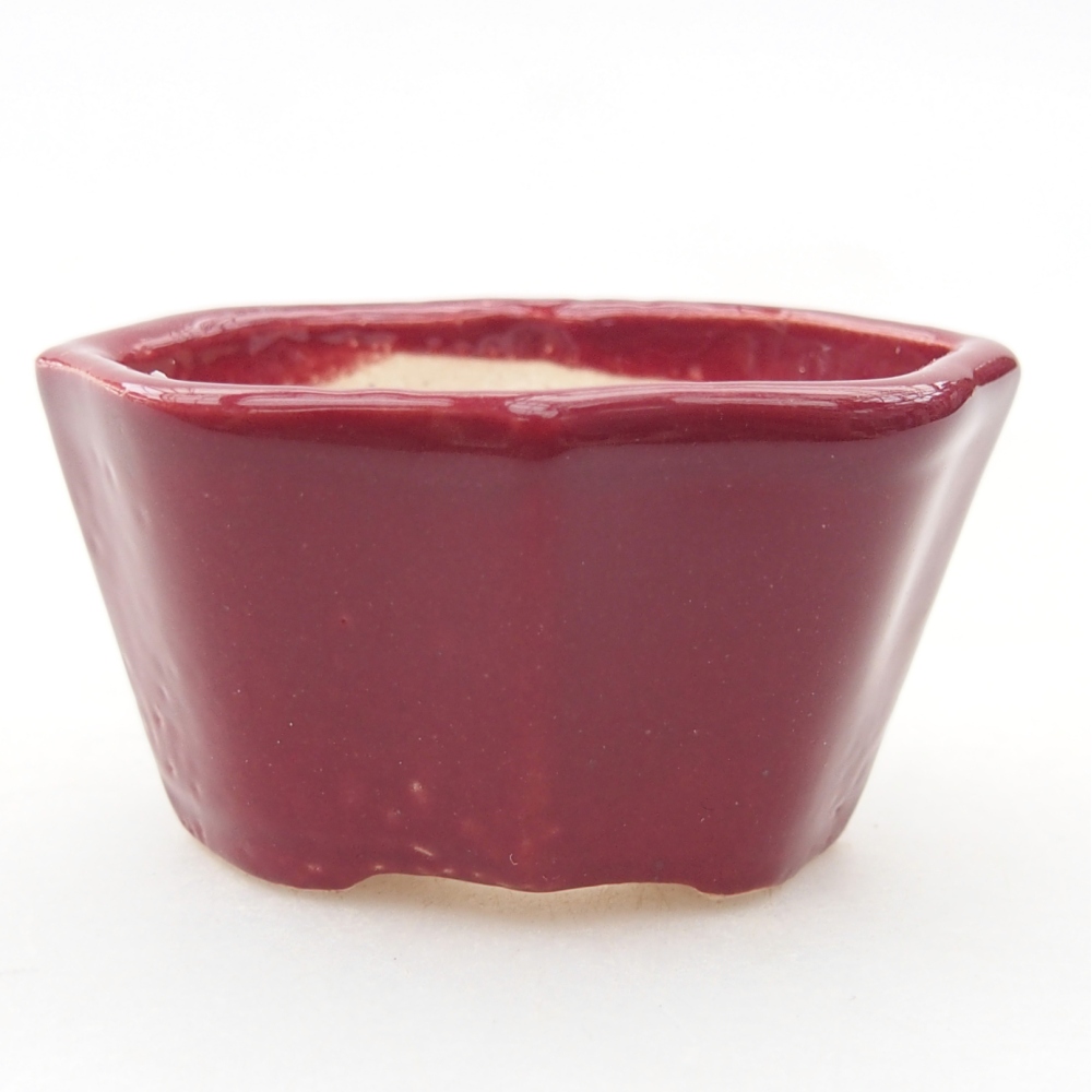 Mini bonsai tál 4,5 x 3 x 2,5 cm, bordó színben