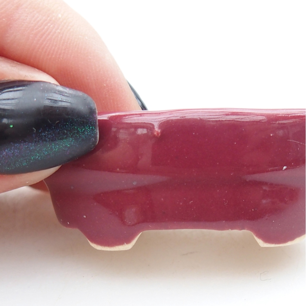 Mini bonsai tál 4 x 2,5 x 2 cm, bordó színben