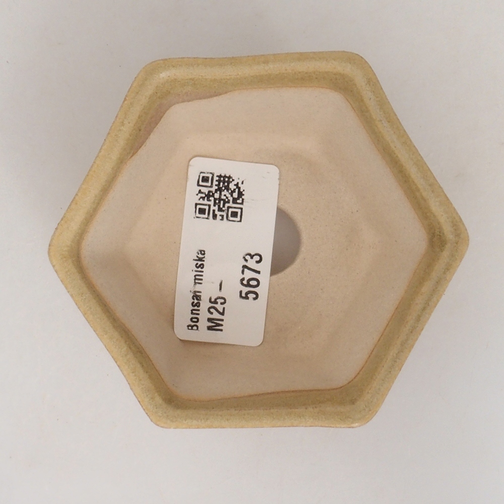 Mini bonsai tál 8 x 7 x 4 cm, barna