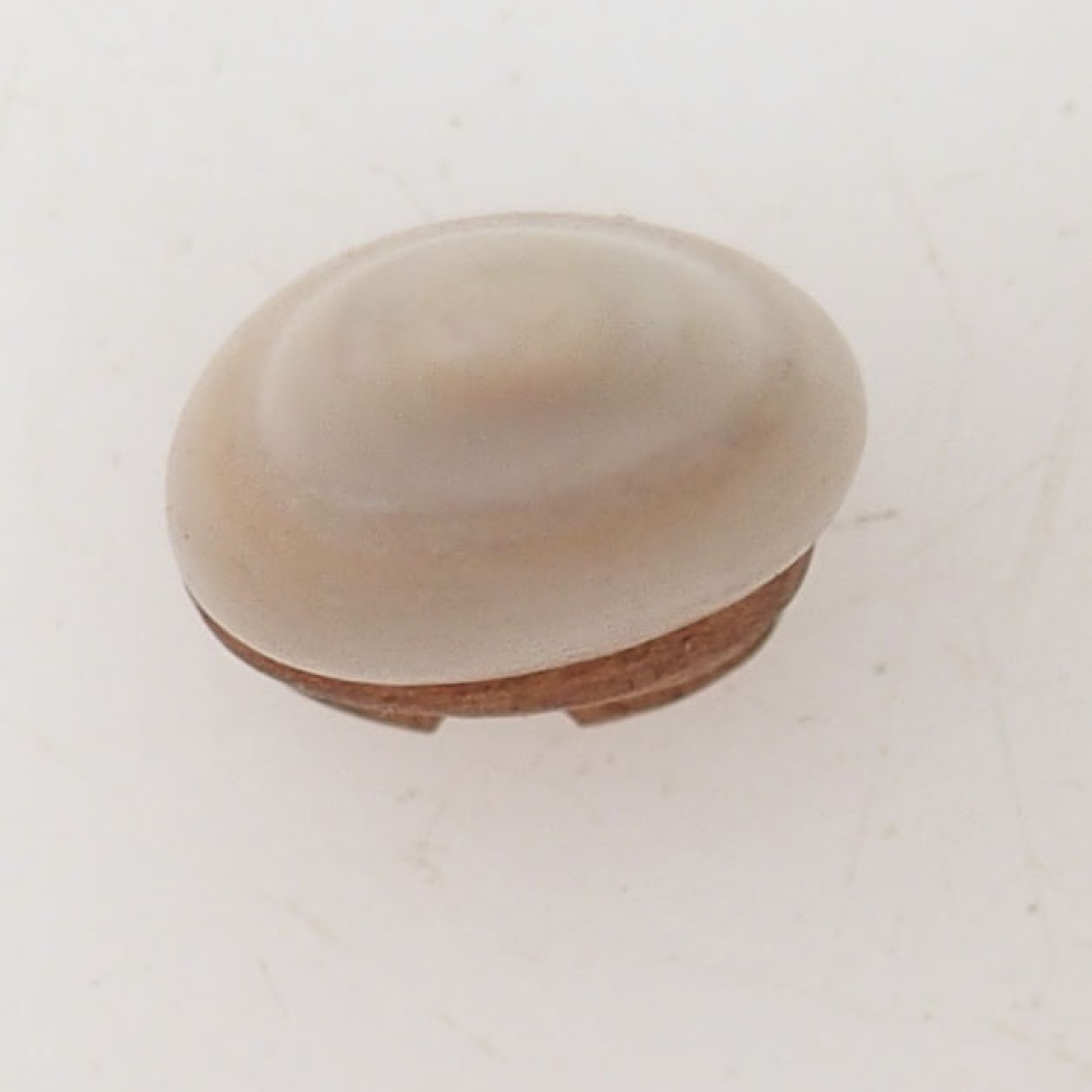 Suiseki - Kő DAI-val (fa alapon)