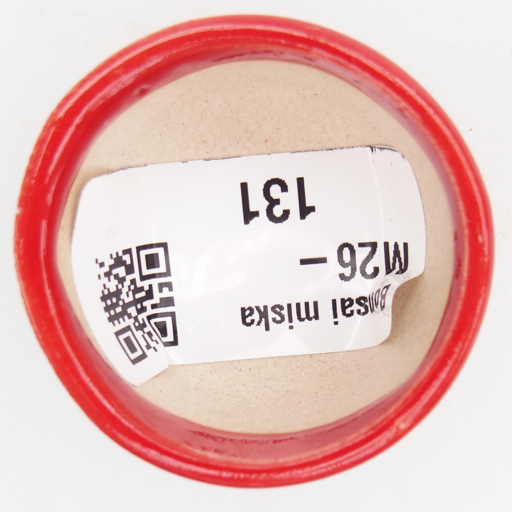 Mini bonsai tál 4 x 4 x 2,5 cm, piros színben