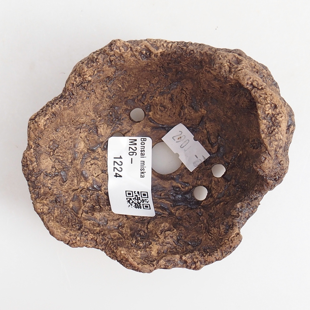 Kerámia kagyló 9,5 x 9 x 8,5 cm , színe barna