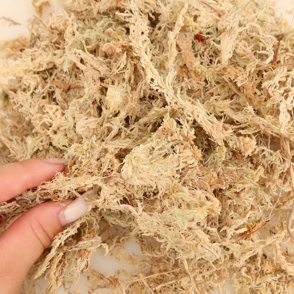 Sphagnum – tőzegmoha 150 g