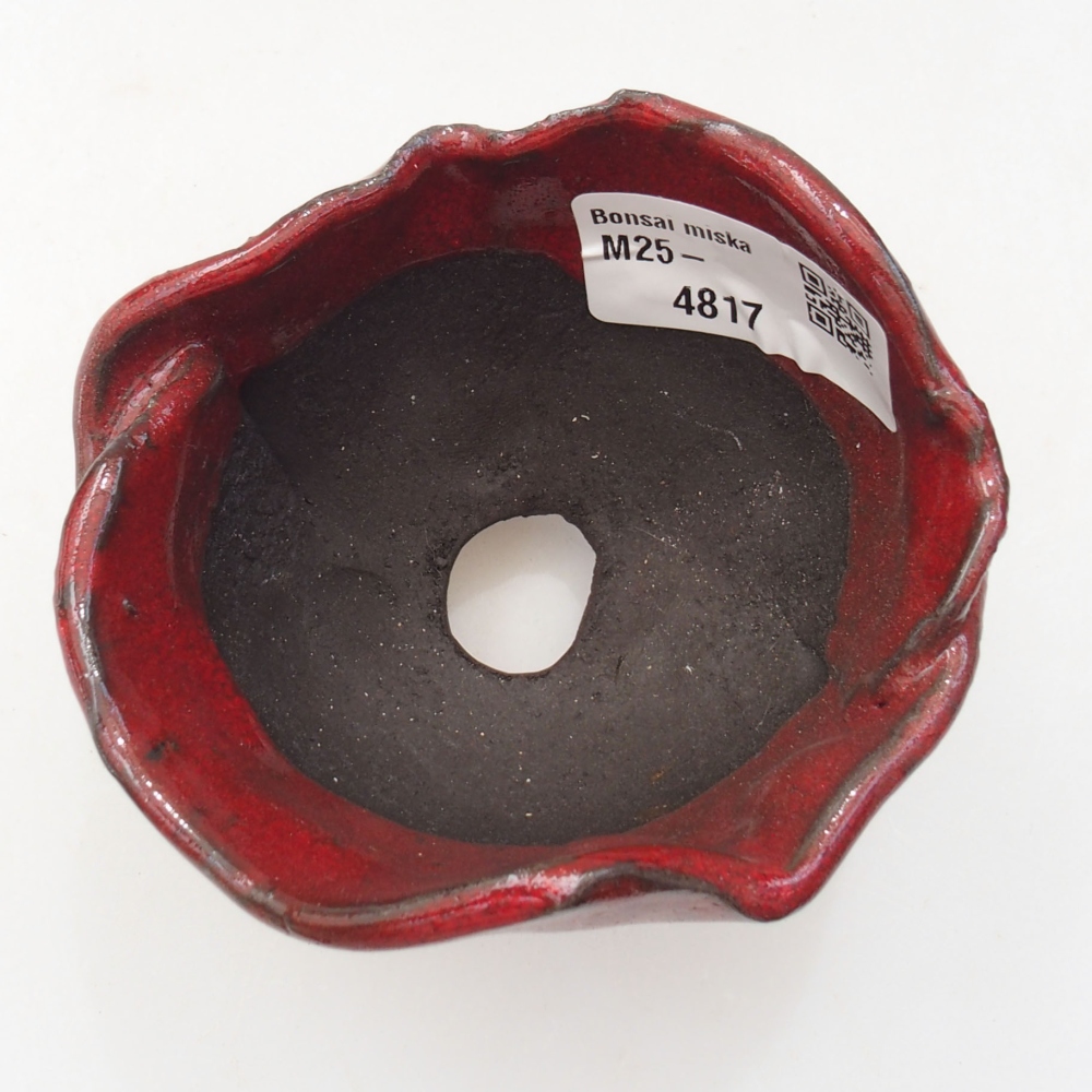 Kerámia kagyló 8 x 8 x 7 cm , piros színű