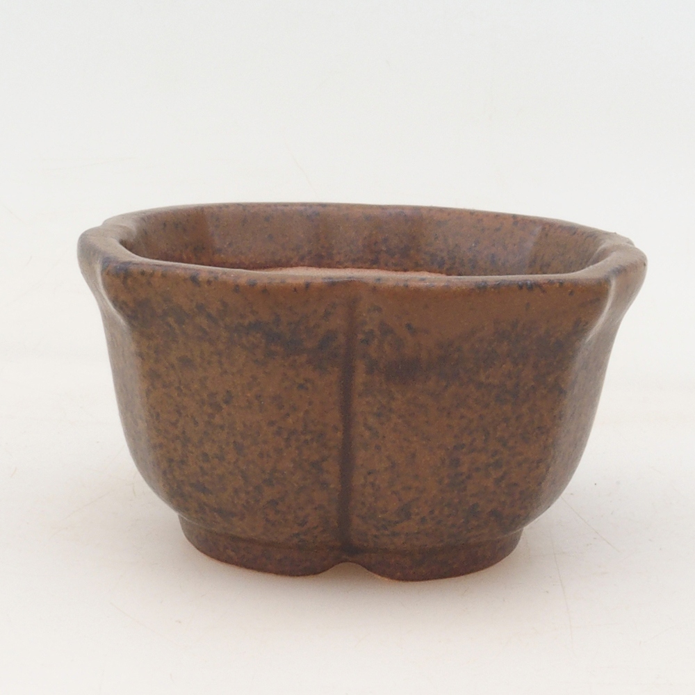 Bonsai tál + csészealj H95 - barna