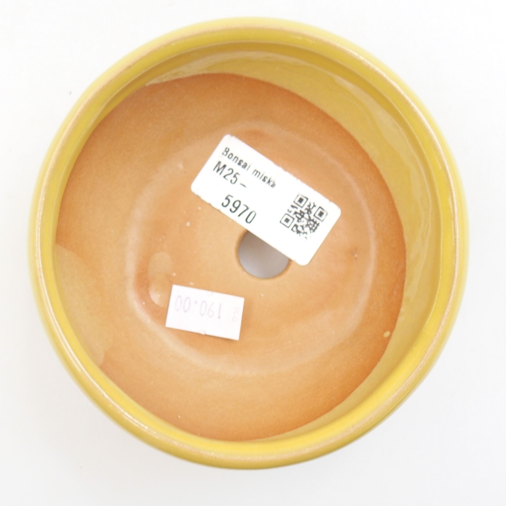 kerámia bonsai tál 22 x 17 x 5 cm, zöld