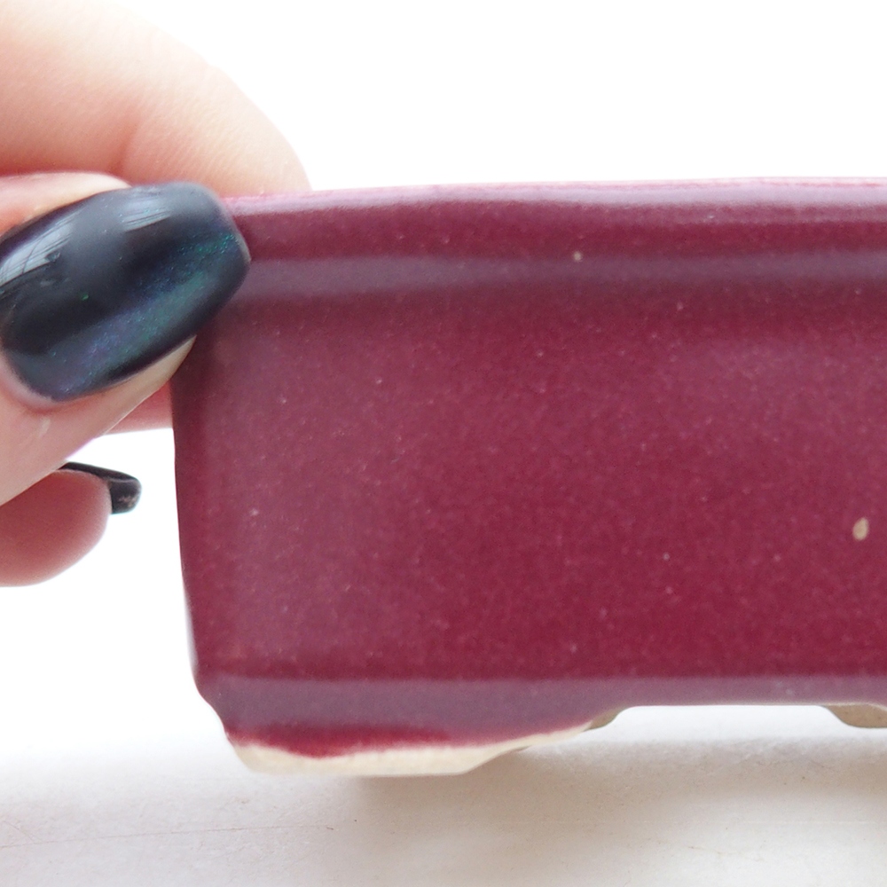 Mini bonsai tál 8 x 6,5 x 3,5 cm, bordó színű