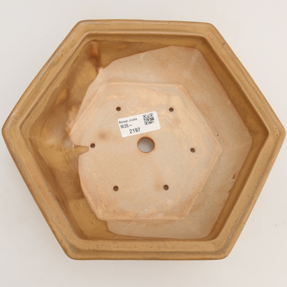 Kerámia bonsai tál, 24 x 21,5 x 7,5 cm, bézs színű