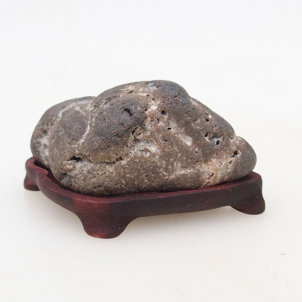 Suiseki - Kő DAI-val (fa alapon)