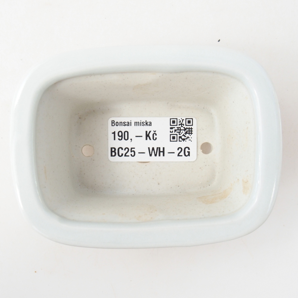Mini bonsai tál 10 x 7,5 x 4 cm, fehér színben