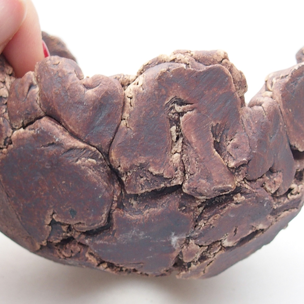 Kerámia kagyló 9 x 9 x 6 cm , színe barna