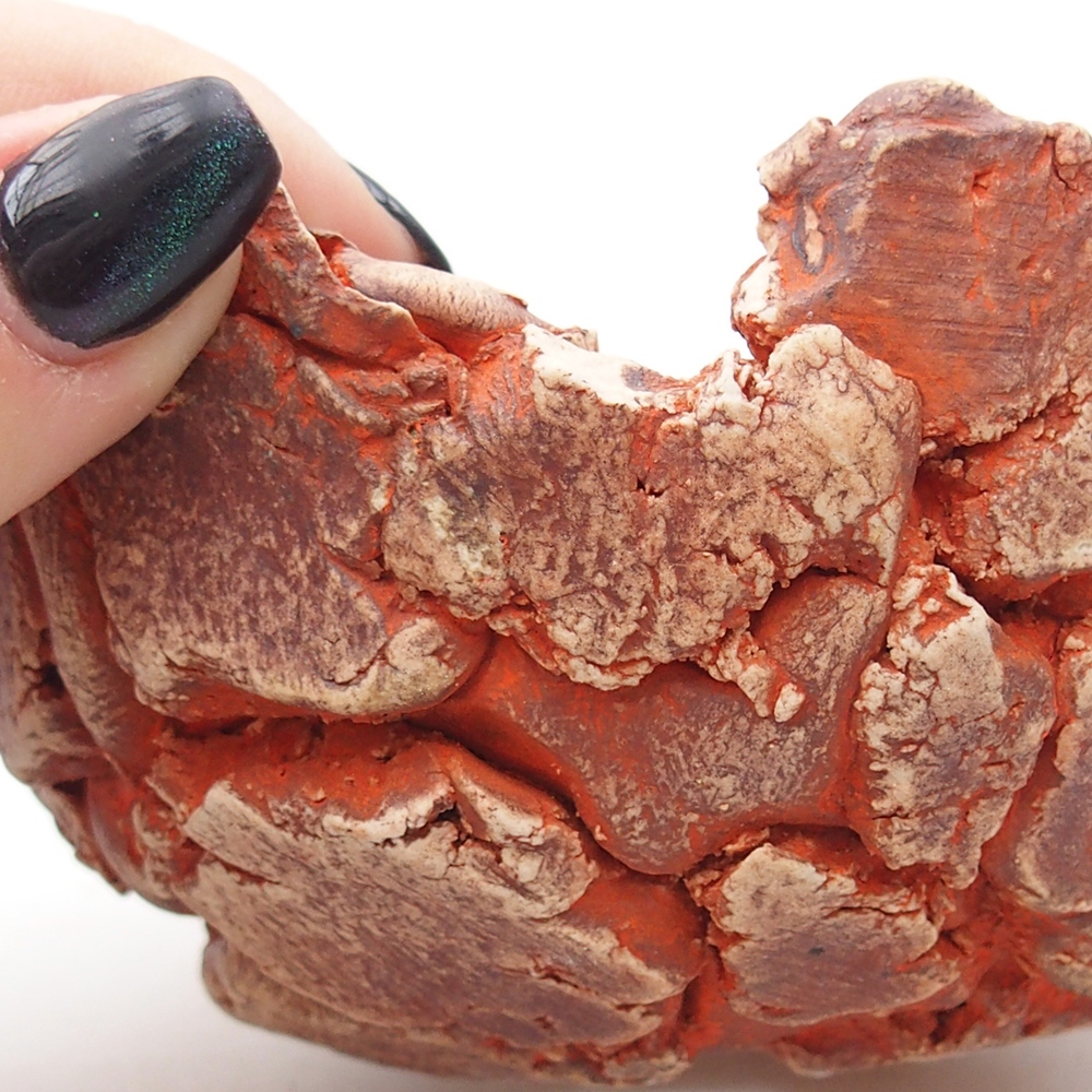 Kerámia kagyló 11 x 11 x 6 cm , narancssárga színű