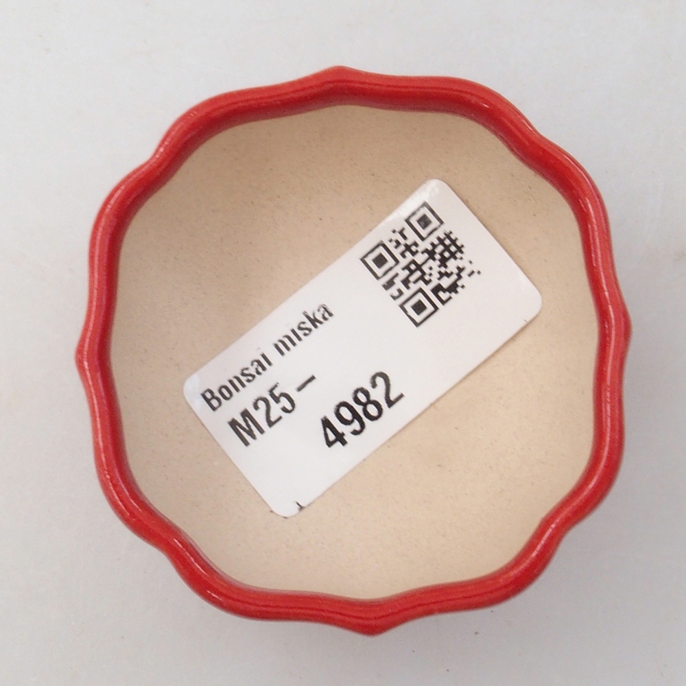 Mini bonsai tál 6 x 5,5 x 2,5 cm, piros színben
