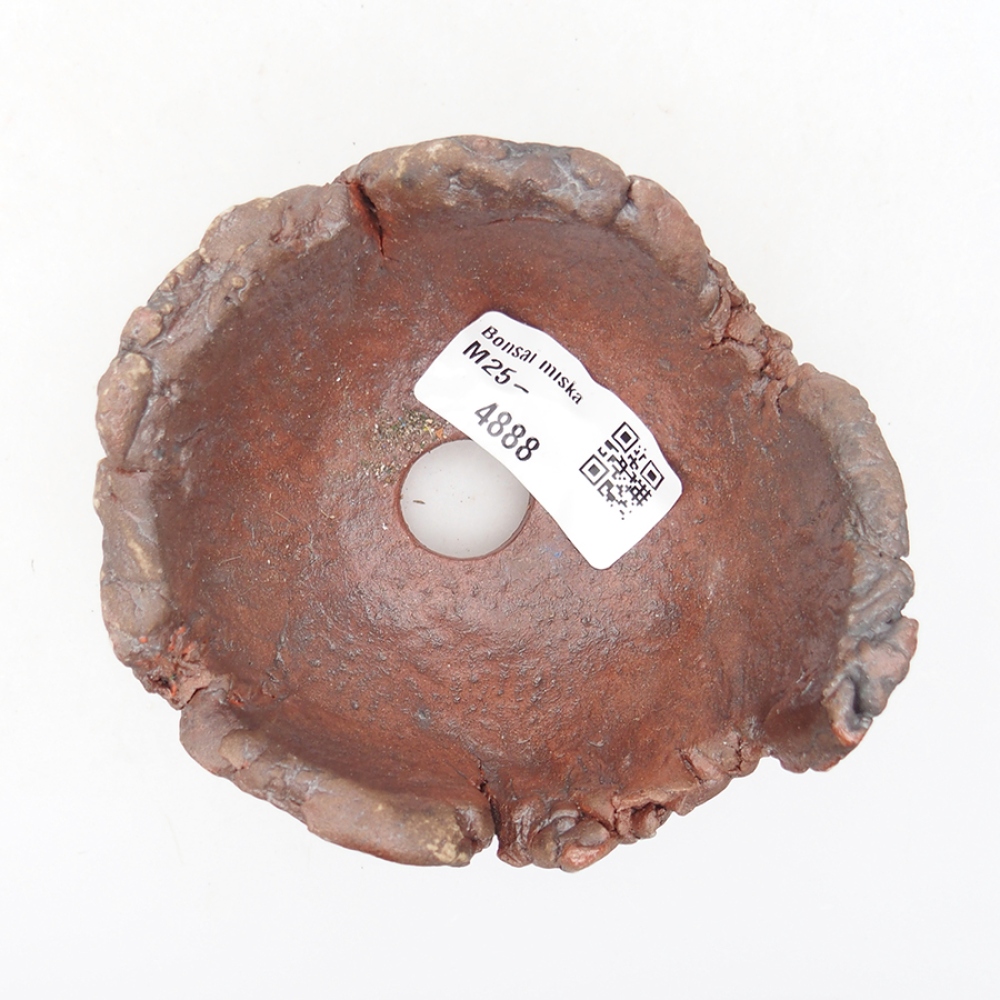 Kerámia kagyló 10 x 9 x 7 cm , barna színű