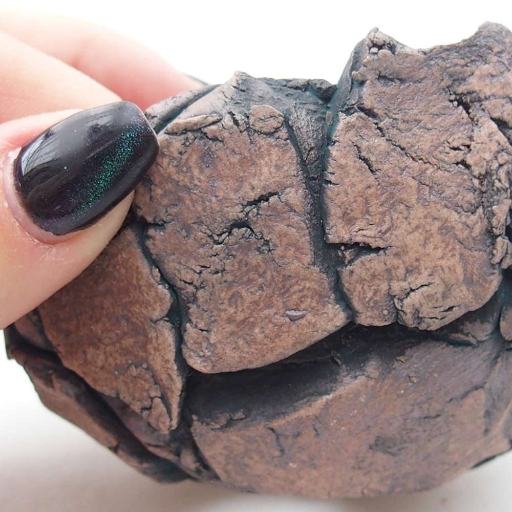 Kerámia kagyló 9 x 8,5 x 6 cm , zöld színű