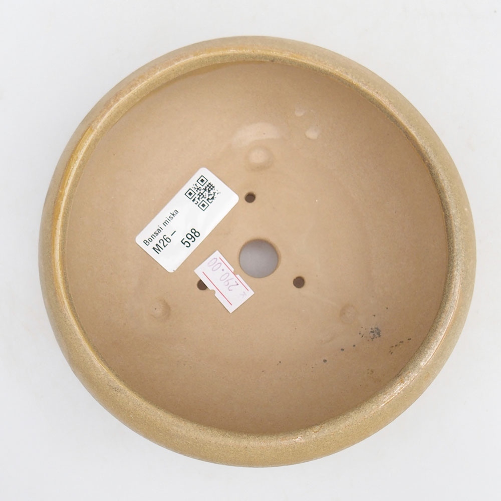 kerámia bonsai tál 14 x 14 x 6,5 cm, bézs színű