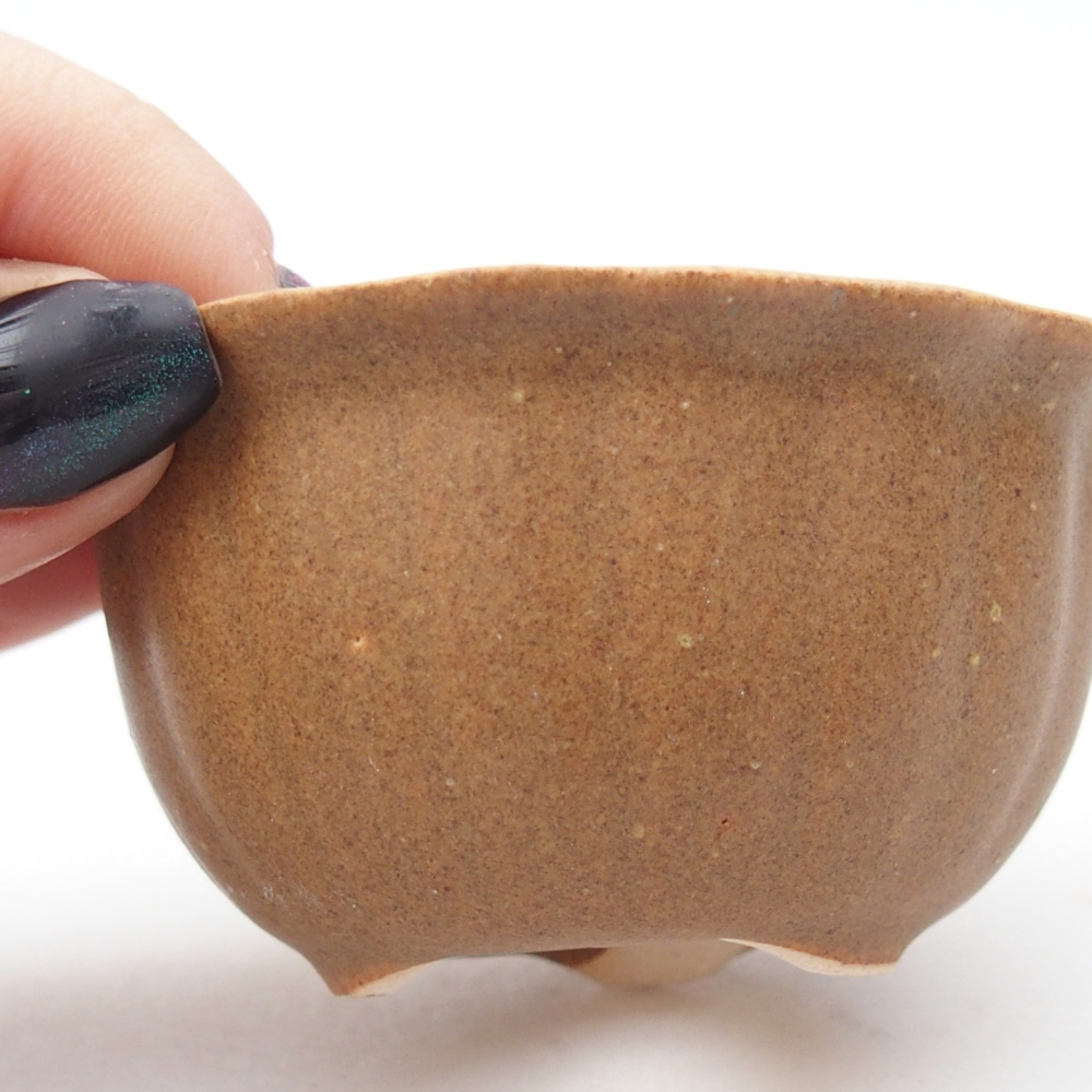 Mini bonsai tál 7,5 x 7,5 x 3,5 cm, barna