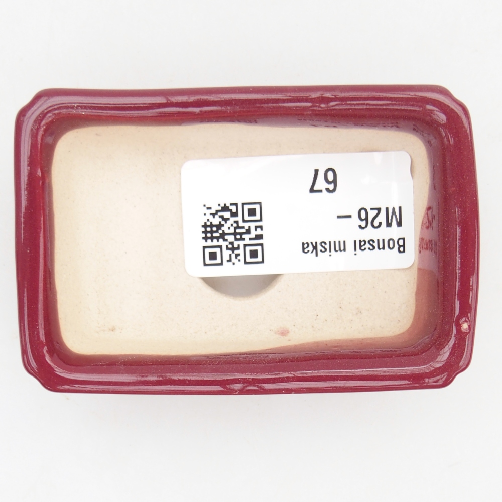 Mini bonsai tál 7,5 x 5 x 2 cm, bordó színű