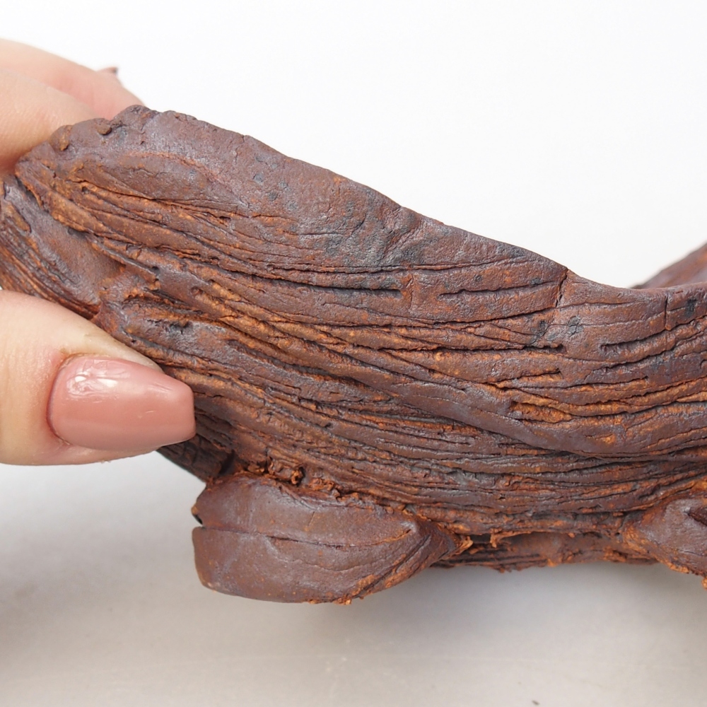 Kerámia kagyló 16 x 10,5 x 8,5 cm , színe barna