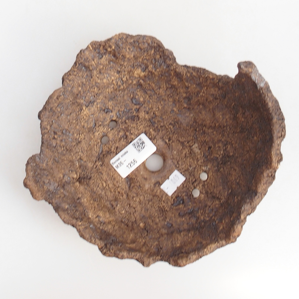 Kerámia kagyló 19 x 15 x 14 cm , barna színű