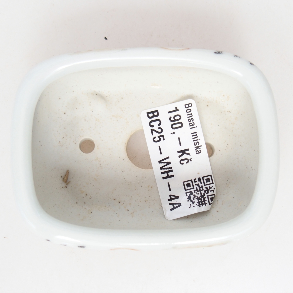 Mini bonsai tál 8 x 6 x 3 cm, fehér