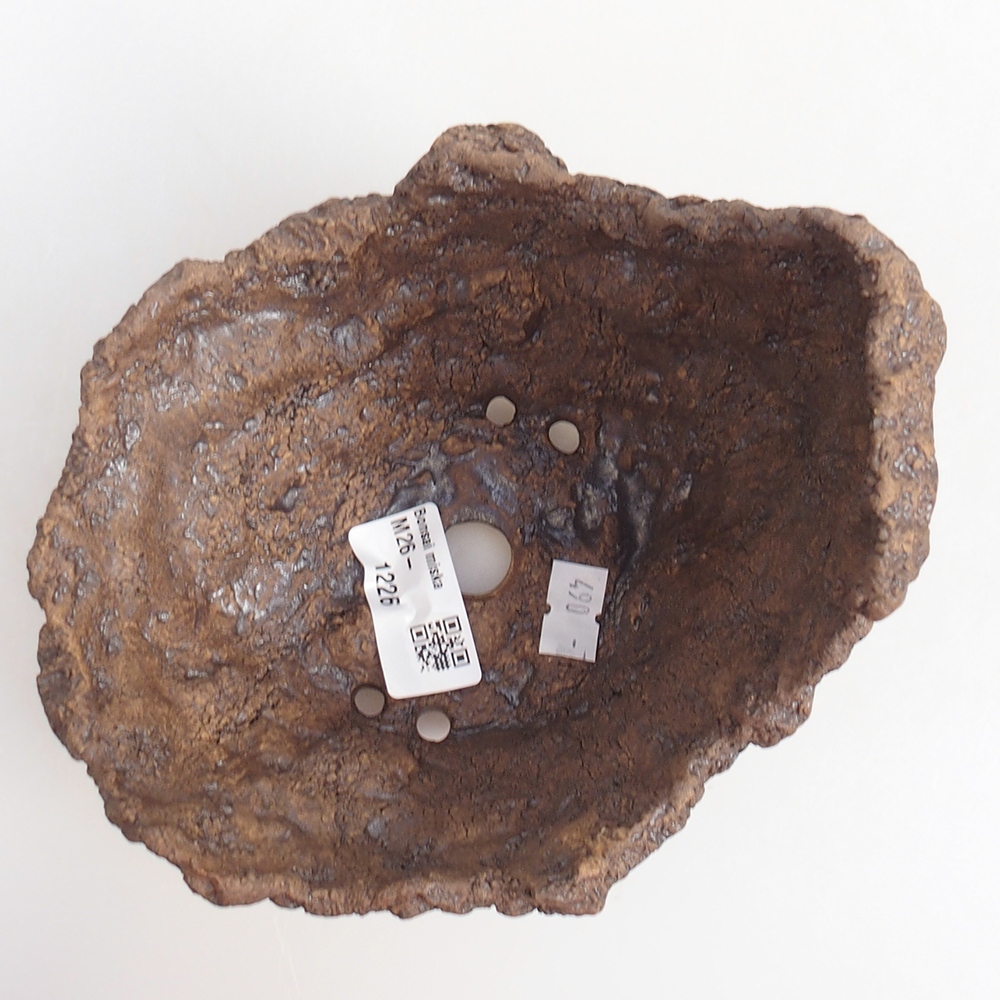 Kerámia kagyló 14 x 12 x 13 cm , színe barna