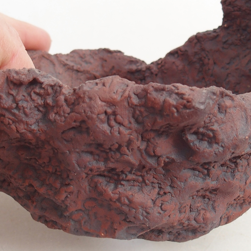 Kerámia kagyló 10 x 8 x 8,5 cm , barna színű