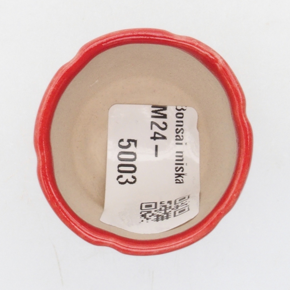 Mini bonsai tál 3 x 3 x 5,5 cm, piros színben