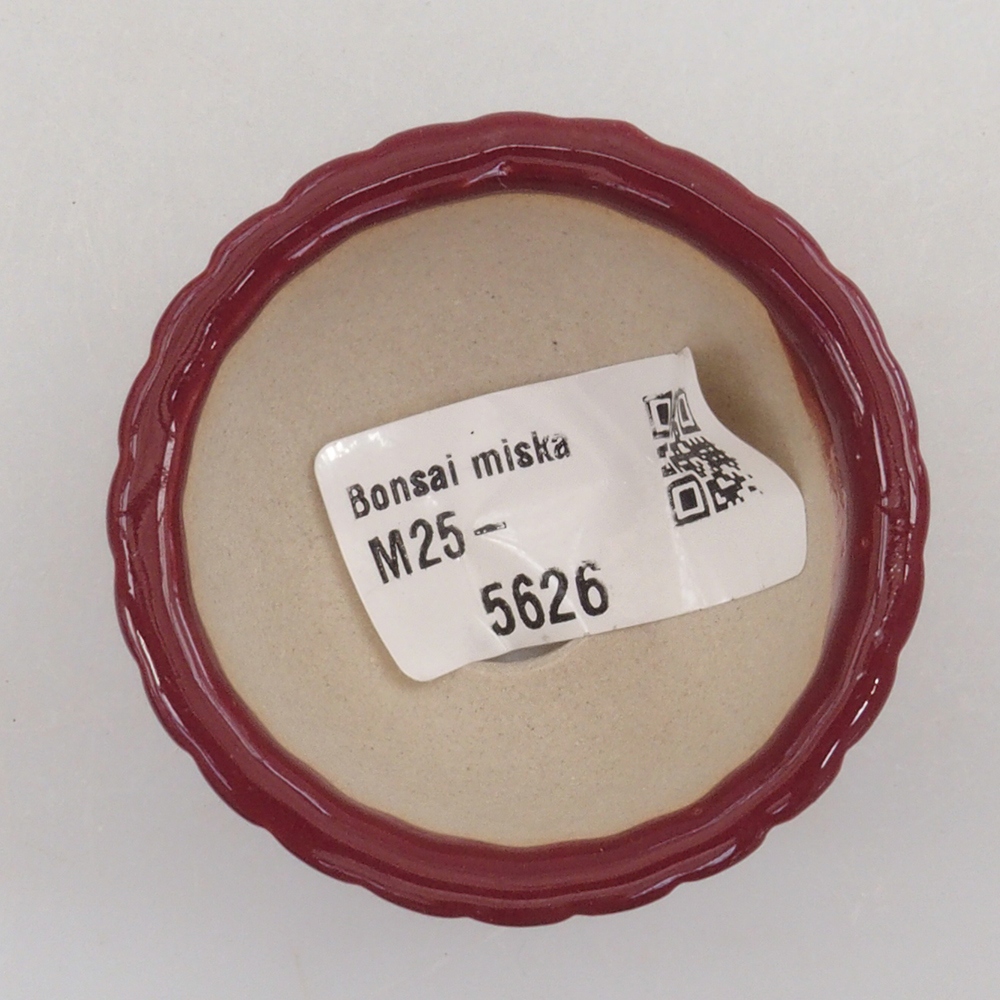 Mini bonsai tál 5 x 5 x 2,5 cm, bordó színben