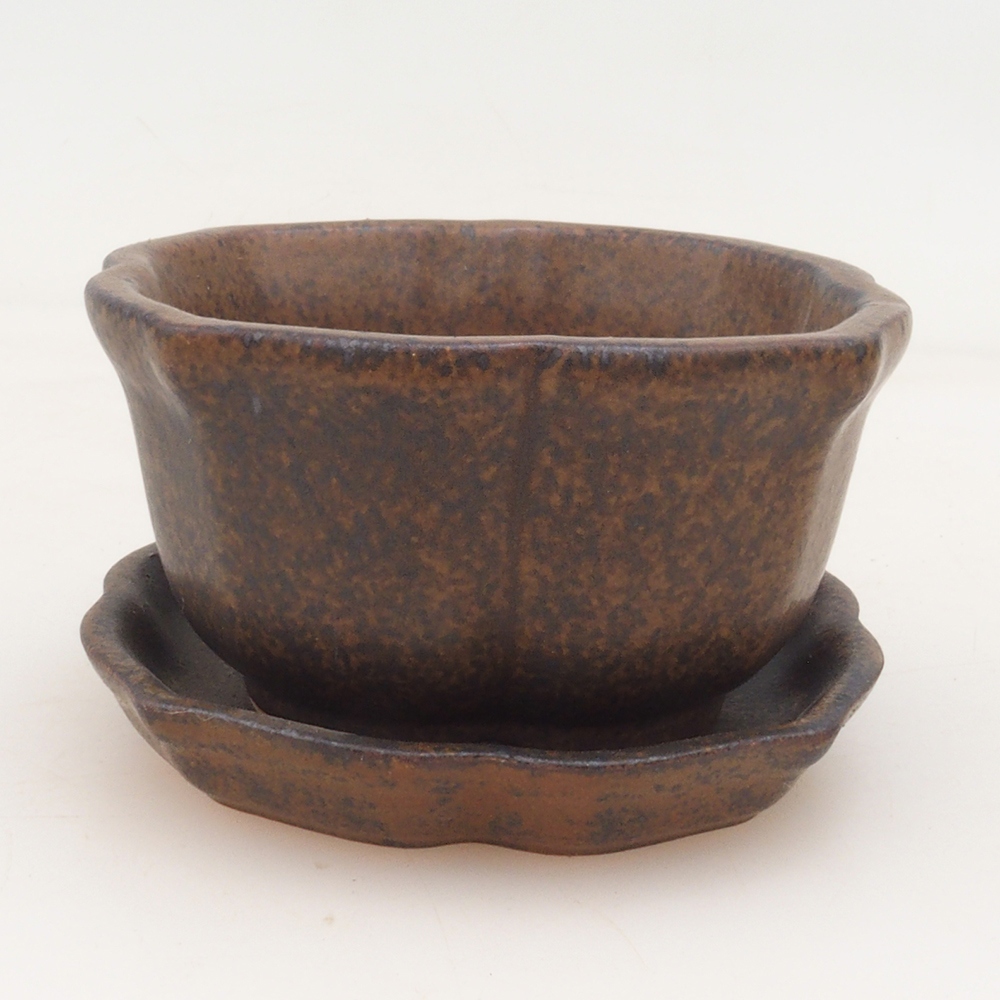 Bonsai tál + csészealj H95 - barna