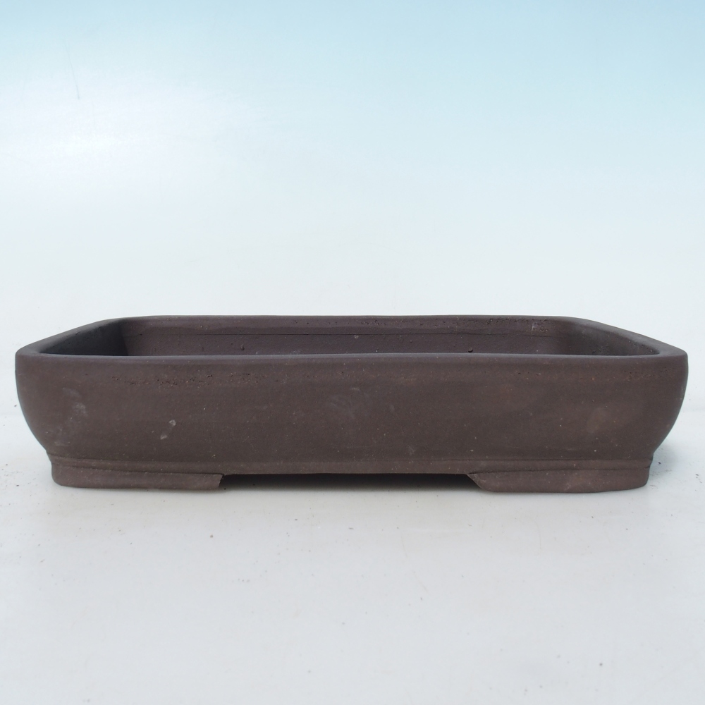 Bonsai tál 25,5 x 17,5 x 5 cm nyírfa barna