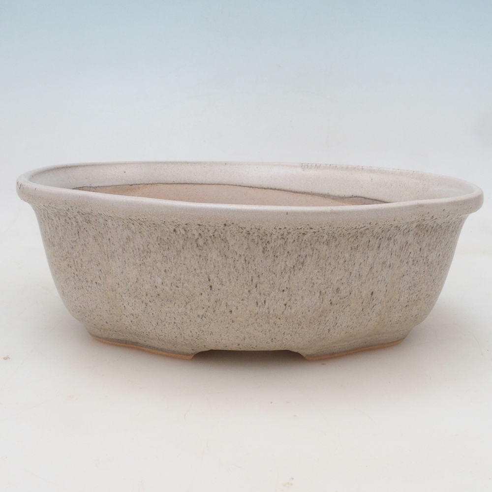 Bonsai tál + csészealj H75 - bézs színben