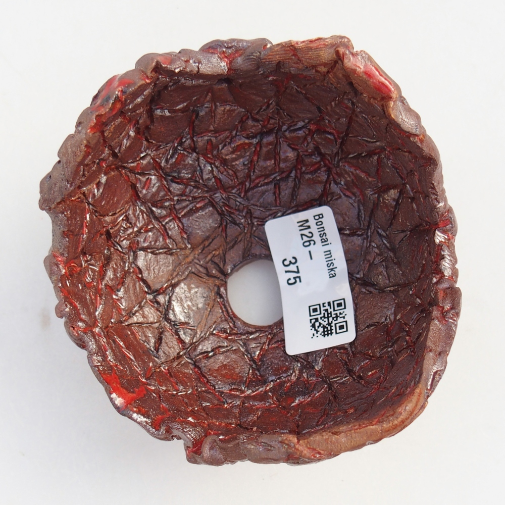 Kerámia kagyló 9,5 x 9,5 x 7 cm , színe barna