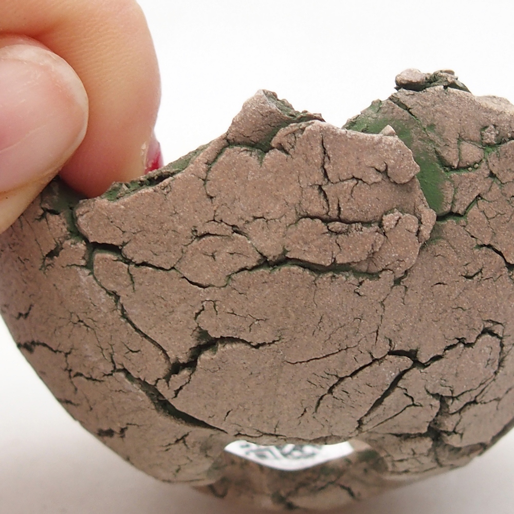 Kerámia kagyló 7 x 7 x 4 cm , zöld színű