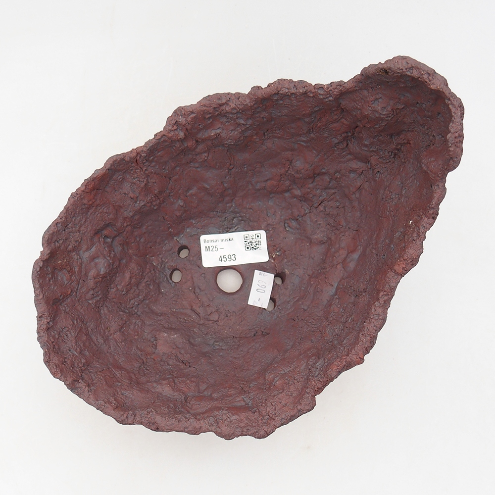 Kerámia kagyló 20 x 16 x 15,5 cm , barna színű