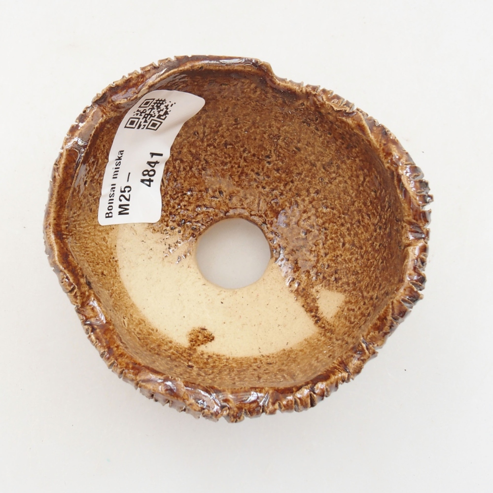 Kerámia kagyló 8 x 7,5 x 6 cm , barna színű