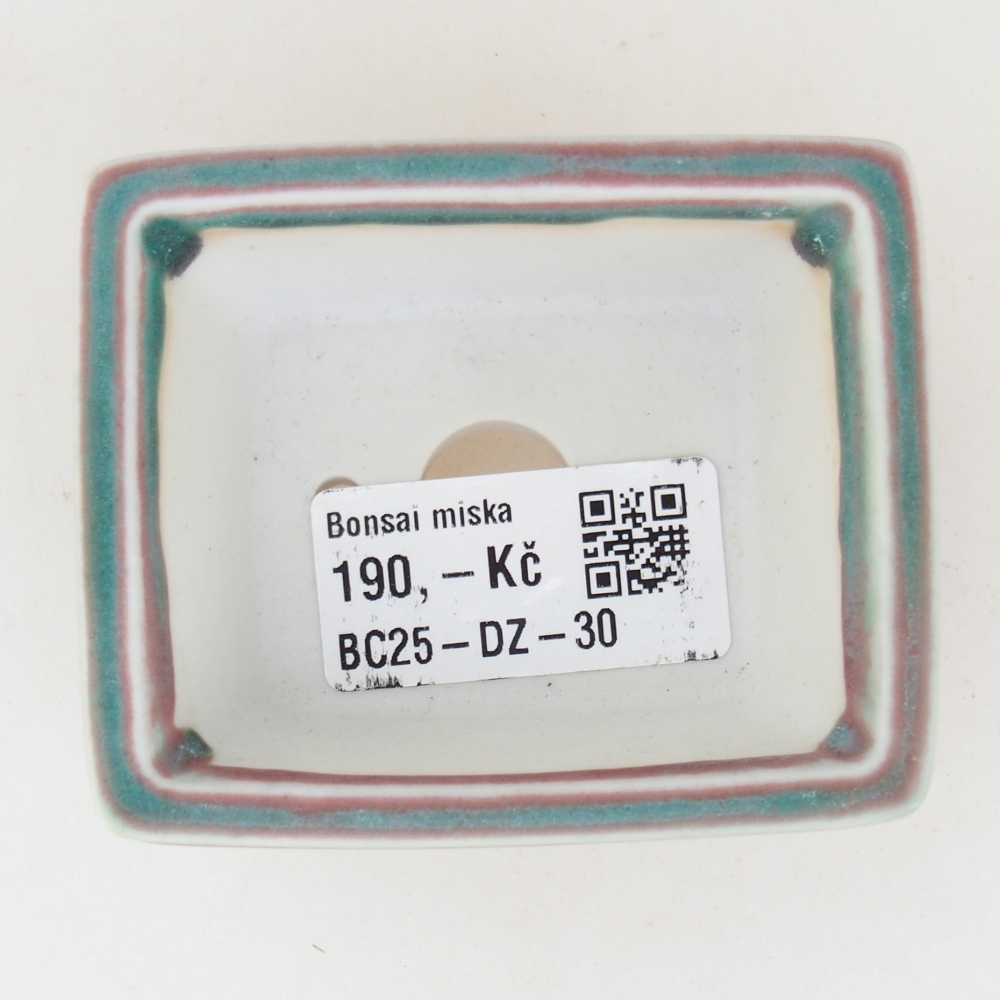 Mini bonsai tál 7,5 x 6 x 3 cm, zöld