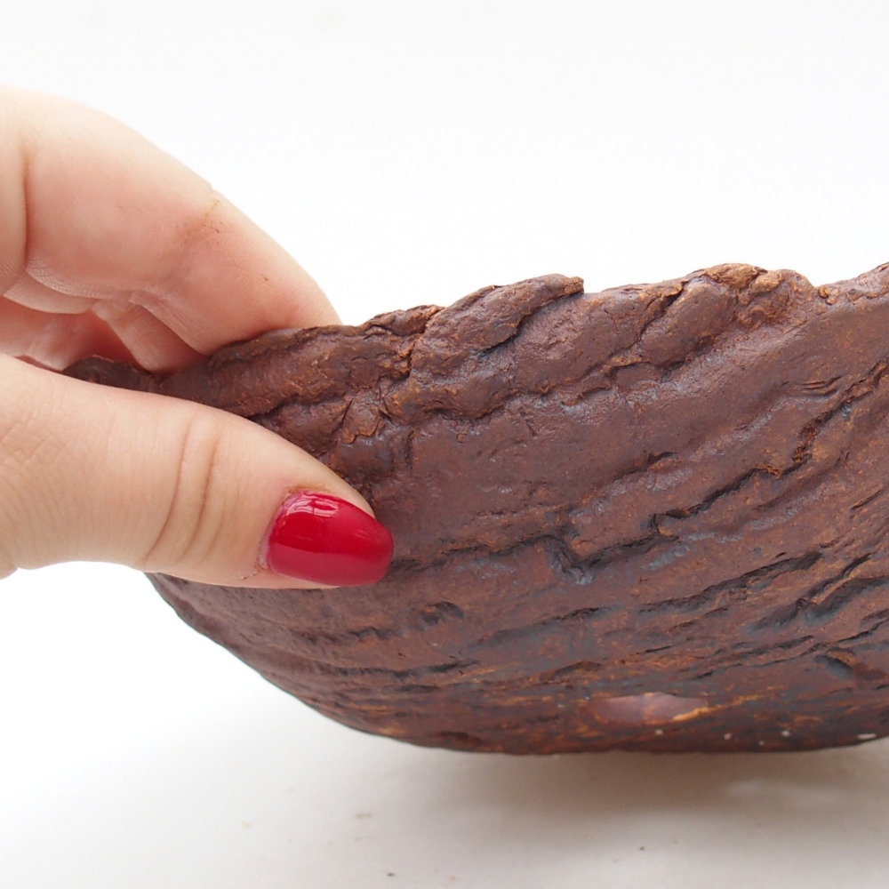 Kerámia kagyló 20 x 15 x 6 cm , barna színű