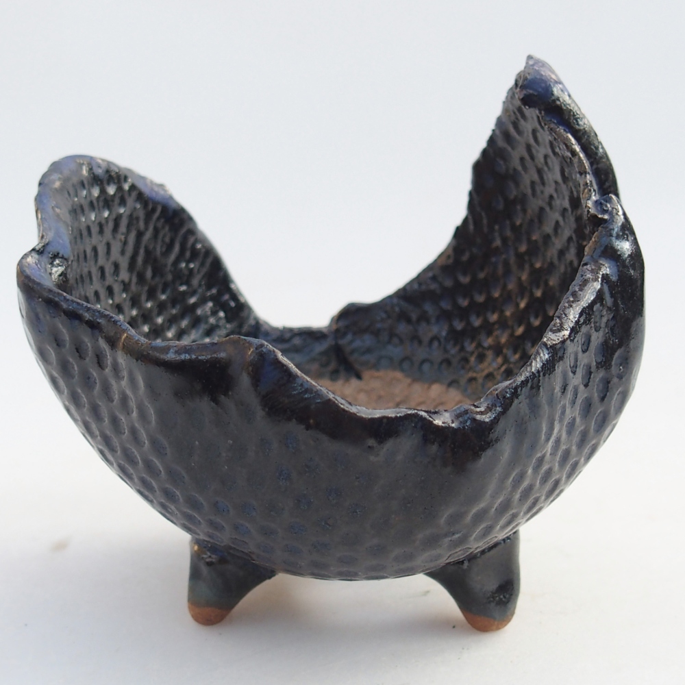 Kerámia kagyló 10 x 8,5 x 8,5 cm , kék színű