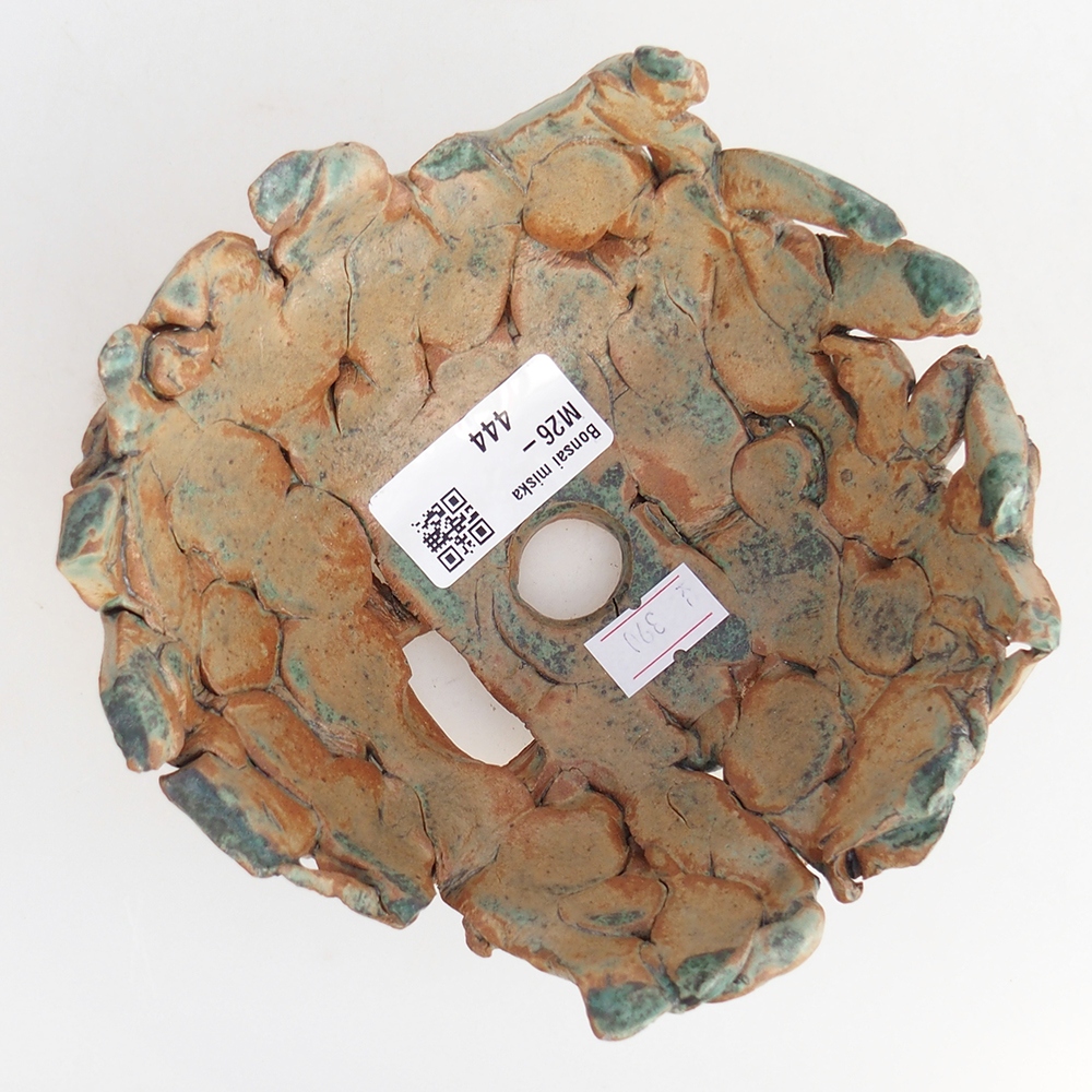 Kerámia kagyló 14 x 14 x 6,5 cm , zöld színű