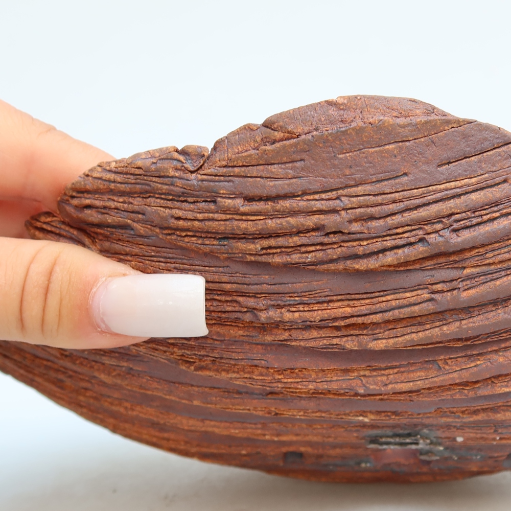 Kerámia héj  24 x 17 x 6,5 cm, barna színű