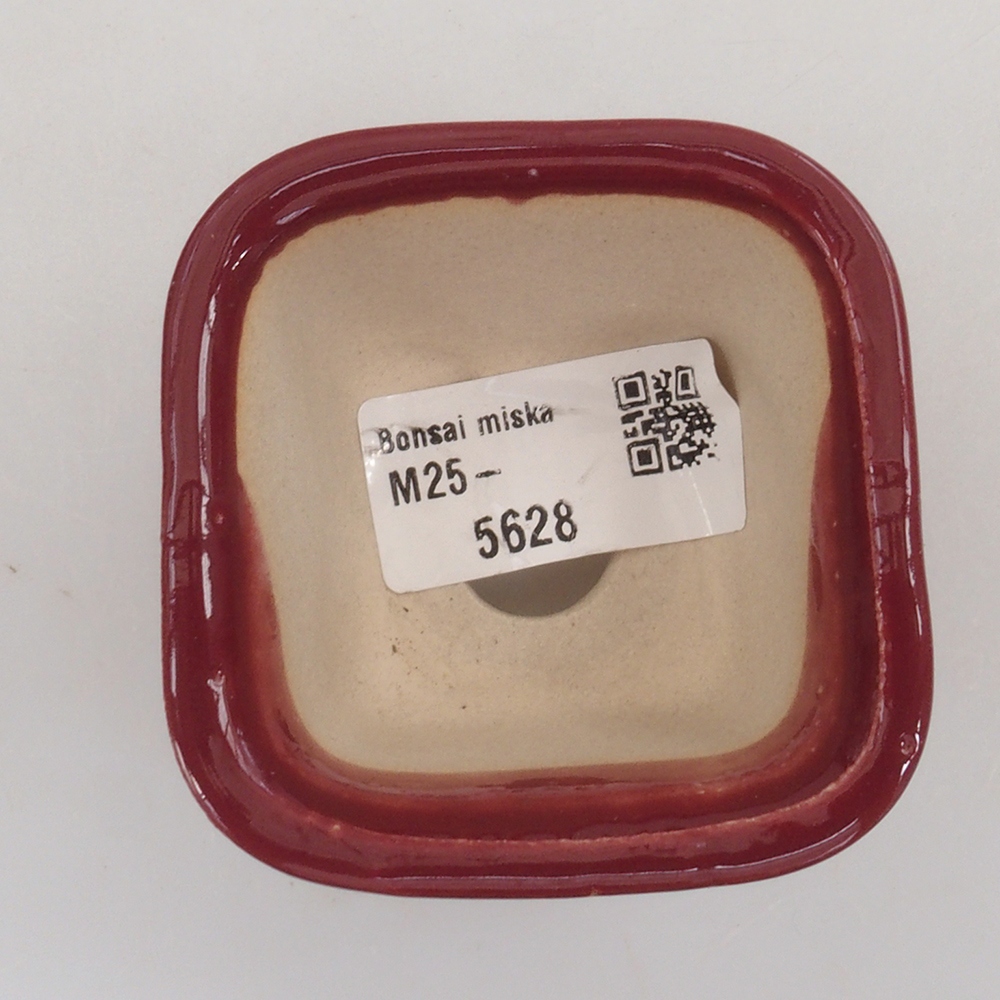 Mini bonsai tál 6 x 6 x 4,5 cm, bordó színű