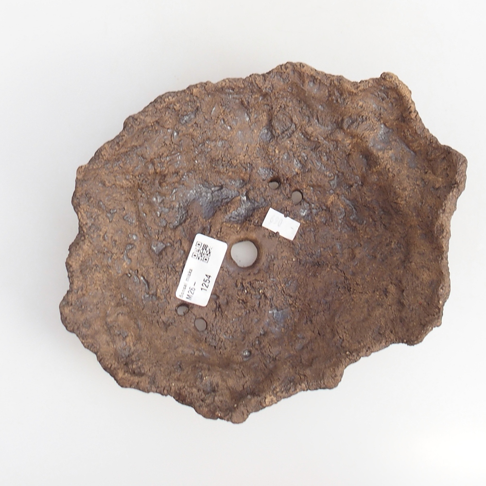 Kerámia kagyló 19 x 15 x 14 cm , barna színű