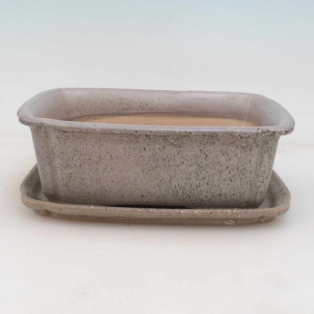 Bonsai tál + csészealj H50 - 17x12,5x5,5 cm
