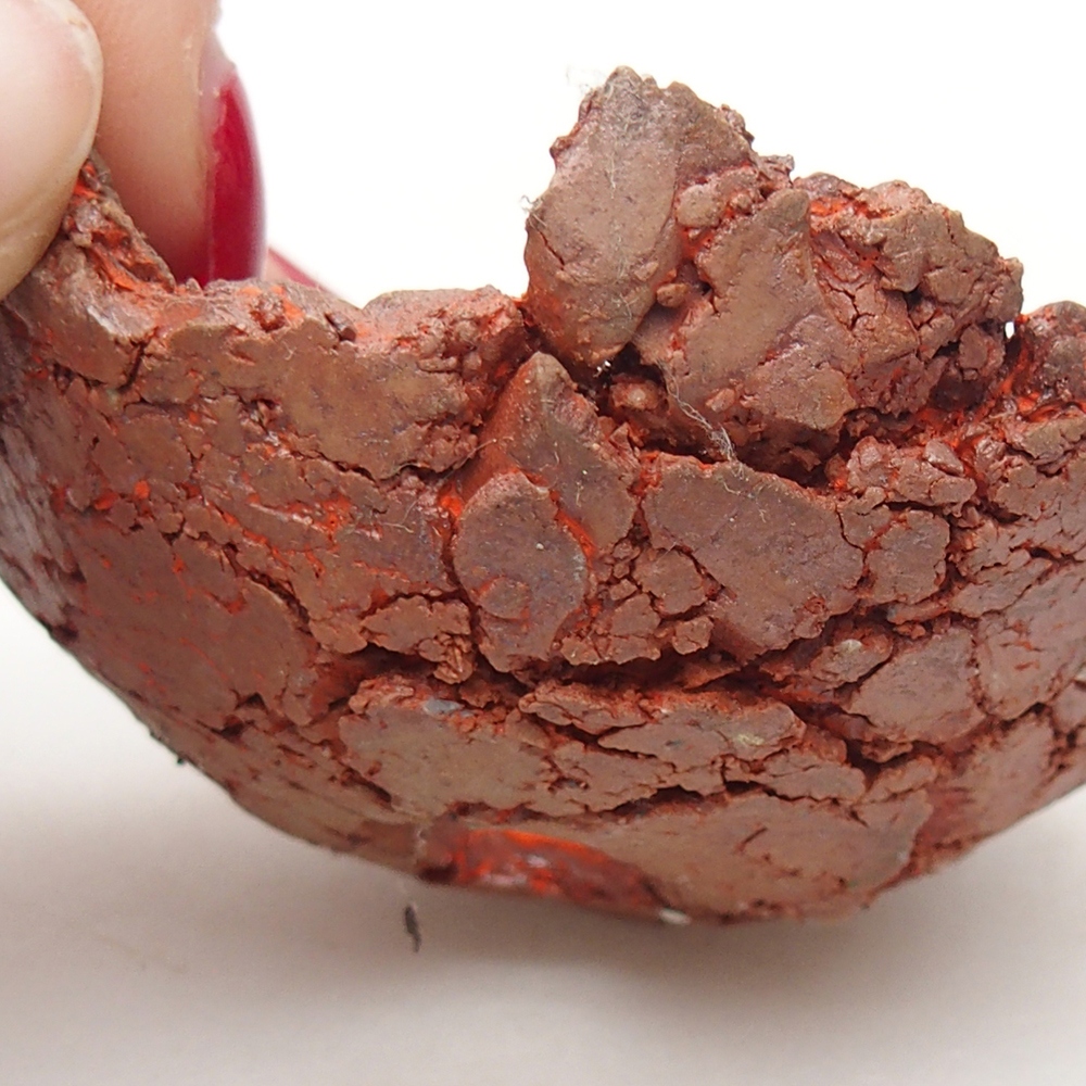 Kerámia kagyló 7 x 7 x 4 cm , narancssárga színű